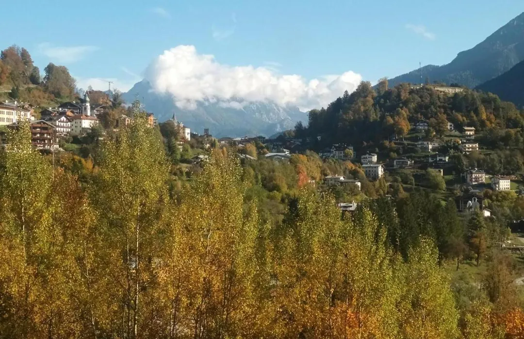 Le Nene - Dolomiti Guesthouse-1